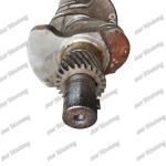 Crankshaft 4TN100 New Disassembly 11901-22001 123900-21010 For Yanmar Diesel