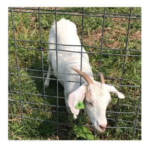 Quality Cutting Service Offered Affordable Cattle Fence for Farm Animal Safety Length 10-200m wholesale