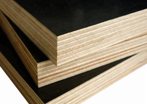 Quality 15mm Film Faced Plywood wholesale