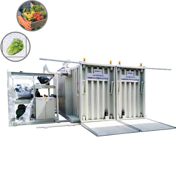 Button Mushroom Vacuum Cooling Chamber Celery Cabbage Leafy Vegetables Vacuum