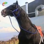 Fun Park Rideable Animatronic Horse Animatronic Animals Snow Proof