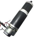 63mm Planetary Gearbox Golf Cart DC Motor 12V 8N.M Option For Electric Brake