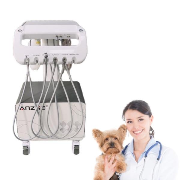 Animal Teeth Care Mobile Dental Cart Veterinary Dental Treatment Cart Factory