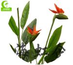 Manufacturer Inexpensive Stunning Artificial Bird Of Paradise Green Plant