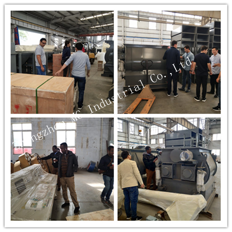 10T / H Dry Mortar Plant Wall Putty Ceramic Tile Adhesive Mixing Machine