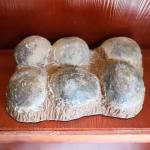 Shopping Mall Dinosaur Bone Replicas , Dinosaur Replica Fossil Skulls