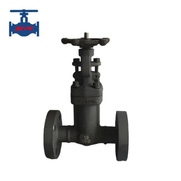 Cheap Industrial Forged Gate Valve API 602 Standard  Class 150 Bellow Sealed Gate Valve A105 for sale