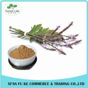 Quality Competitive Price Natural Chinese Herb European Verbena Extract /Blue Vervain wholesale