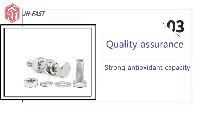 ISO9001 2015 Certified Customized M8 M12 Size SS Hex Bolts and Nuts SS304 316 DIN 933