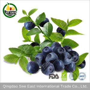 Quality Kosher Cretified Chinese Lyophilized Fruit Freeze Dried Blueberry wholesale