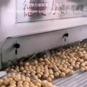 Quality Cryogenic Tunnel Freezer Liquid Nitrogen Quick Freezing Line Machine wholesale