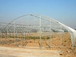 Film Cover Single Layer Agricultural Greenhouse for Sustainable Farming