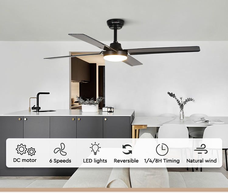 ceiling fan