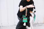 Fabric Puppy Dog Poop Bag Holder Pet Waste Bag Dispenser For Home Leash