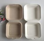 Biodegradable Burger Fast Food Packaging Box Eco Friendly
