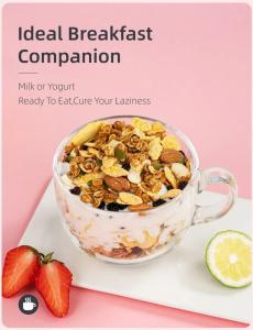 Quality Yoghurt Dried Fruit Nut OEM Breakfast Oatmeal Mygou Foods wholesale