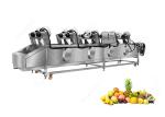 Automatic Vegetable Washer Fruit Washer Machine Vegetable Washing Line