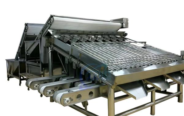 Cheap Roller Shrimp Grading Machine Multipurpose Stainless Steel Material for sale