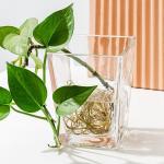 Clear Home Decoration Glass Machine Made Square Tapered Glass Vases 4.65 Inch