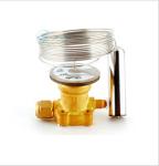 Tes55 Series R404a / R507 / - 40 ℃ Valves 067g3301 5m