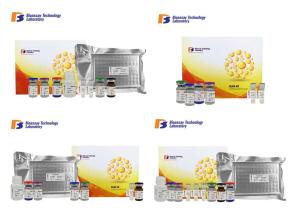 Quality Human ADAMTS19 Immunoassay Test Kits For Accurate Quantitative Detection wholesale