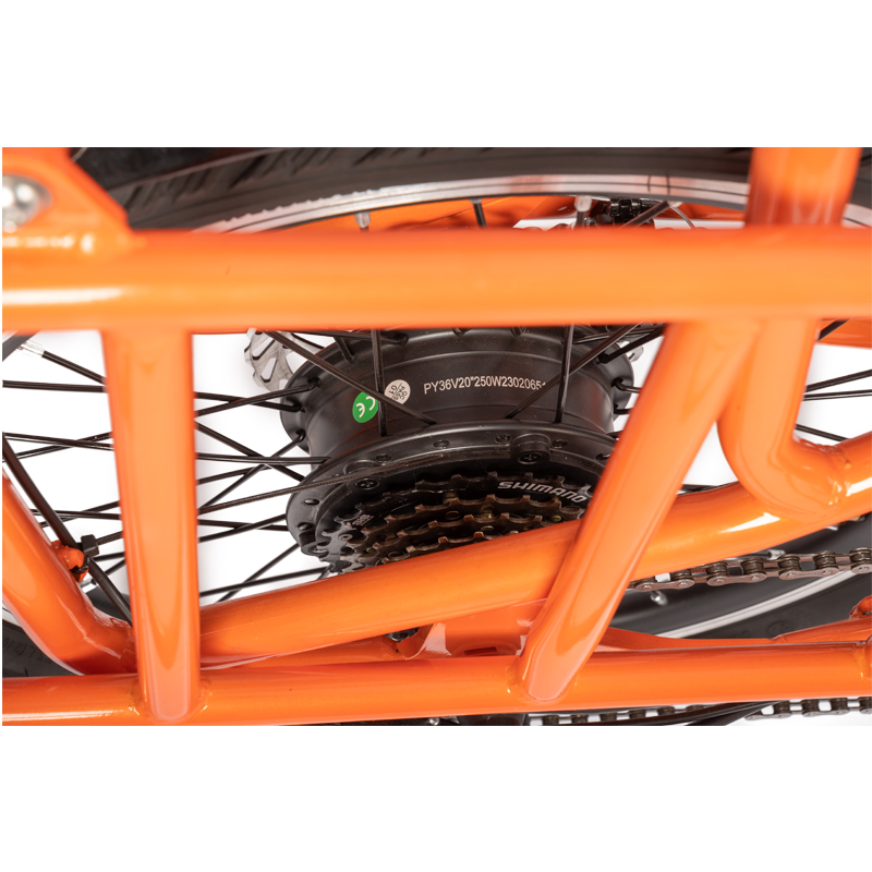 Extra Large Capacity Home Electric Bike with 48V500w High Power Motor and Aluminum Fork