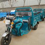 China Electric Trike Motorcycle Triciclo ElectricoFamily Adult Passenger