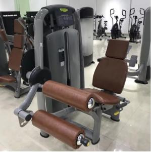 Quality Multiple Exercises Pin Loaded Resistance Equipment Leg Press Machine wholesale