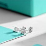 Hip Hop Moissanite Princess Cut Earrings Diamond Stud 14k Gold OEM