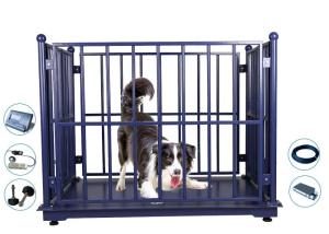 Quality ZEMIC 5000KG Horse Weighing Scales Dustproof With Locks wholesale