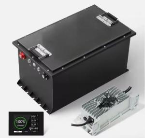 Quality 51.2V 100Ah LiFePO4 48v Lithium Golf Cart Battery With BMS 5.12KWH wholesale