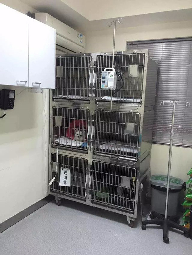 Combination Stainless Steel Animal Cages 2400 * 700 * 2140mm for Veterinary Clinic