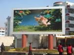 Outdoor Led Advertising Billboard