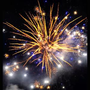 Quality 100 Shots Consumer Cake Fireworks For Celebration Outdoor Big Fireworks wholesale