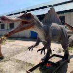Exhibitions Realistic Animatronic Dinosaur 6m Spinosaurus Model