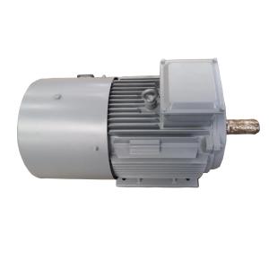 Quality 300kw 30rpm 420V IP68 Permanent Magnet Alternator Rare Earth NdFeB Material wholesale