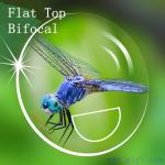 Bifocal lens