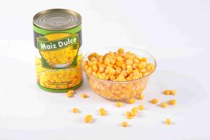 Quality Nutritious Canned Sweet Corn / Canned Yellow Corn Kernels No Preservative wholesale