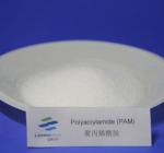 9003-05-8 Polyacrylamide PAM Anionic Water Treatment Chemicals