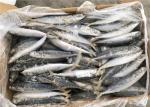 8pcs Frozen Fishing Bait
