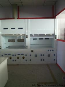 Quality Alkali Resist PP Fume Hood , Chemical Fume Hood Corrosion Preventive Cabinet wholesale