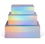 Luxury Magnet Flap Flip Top Gift Boxes For Shoe Clothing Packaging Custom Logo