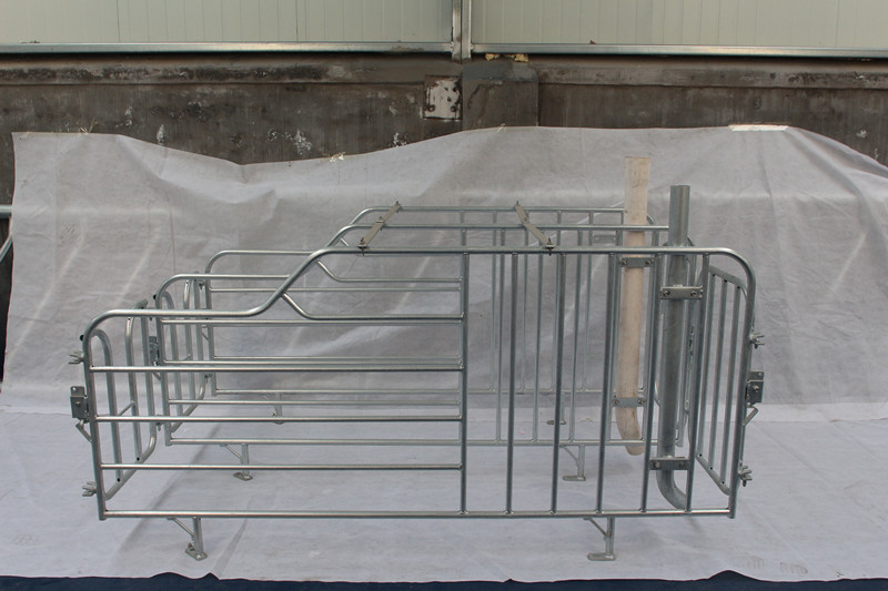 hot dip galvanized farming farrowing crates farrowing pen for pigs