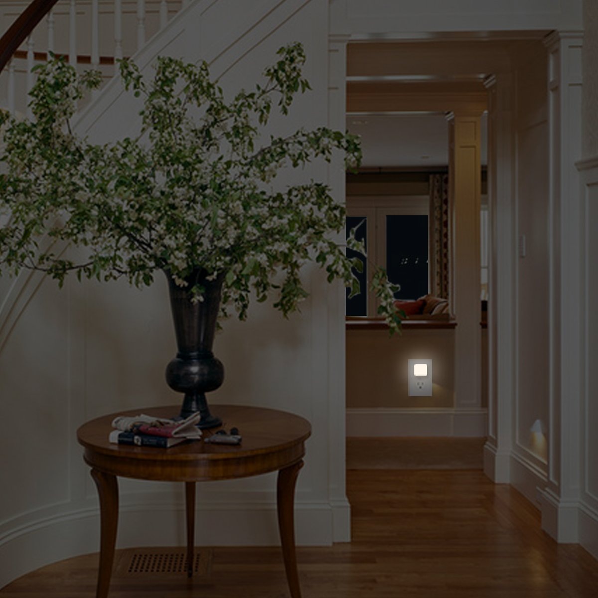 Plug in Night Light Bulbs LED with Dusk to Dawn Smart Sensor, 0.3W Daylight LED Night Lights