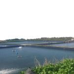 Waterproof Anti-Seepage HDPE Geomembrane Pond Liner in Green Color for Pond