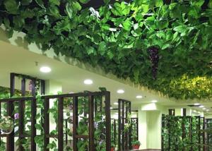 China Plastic Simulation Tree Vine on sale