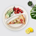 Disposable Bagasse 10 Inch Sugarcane Compostable Plates 3 Compartment Plates