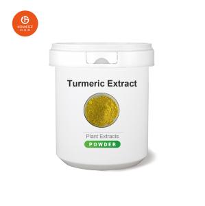Quality Turmeric Root Extract The Best Way to Enhance the Flavor and Health Benefits of Food and Medicine wholesale