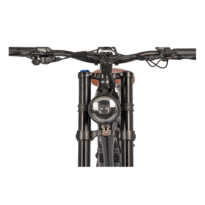 750W Brushless Motor Electric Motorcycle with 26 Inch Tires and 45KM Travel Distance