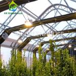 Medical Plants Fully Automated Light Deprivation hemp Greenhouses 100% Blackout